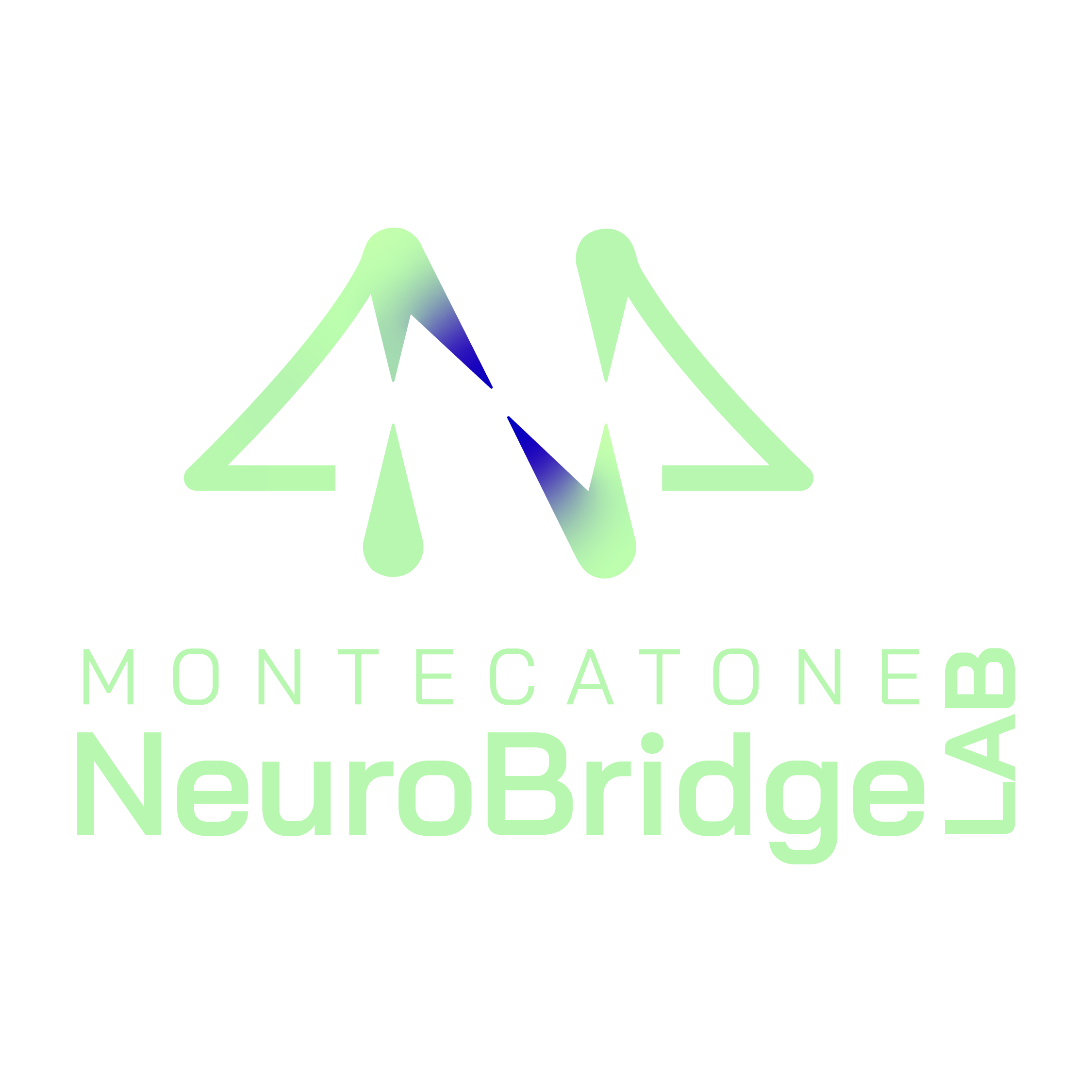 Montecatone NeuroBridge LAB